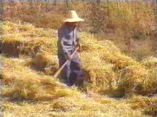 CAMPO - (99)